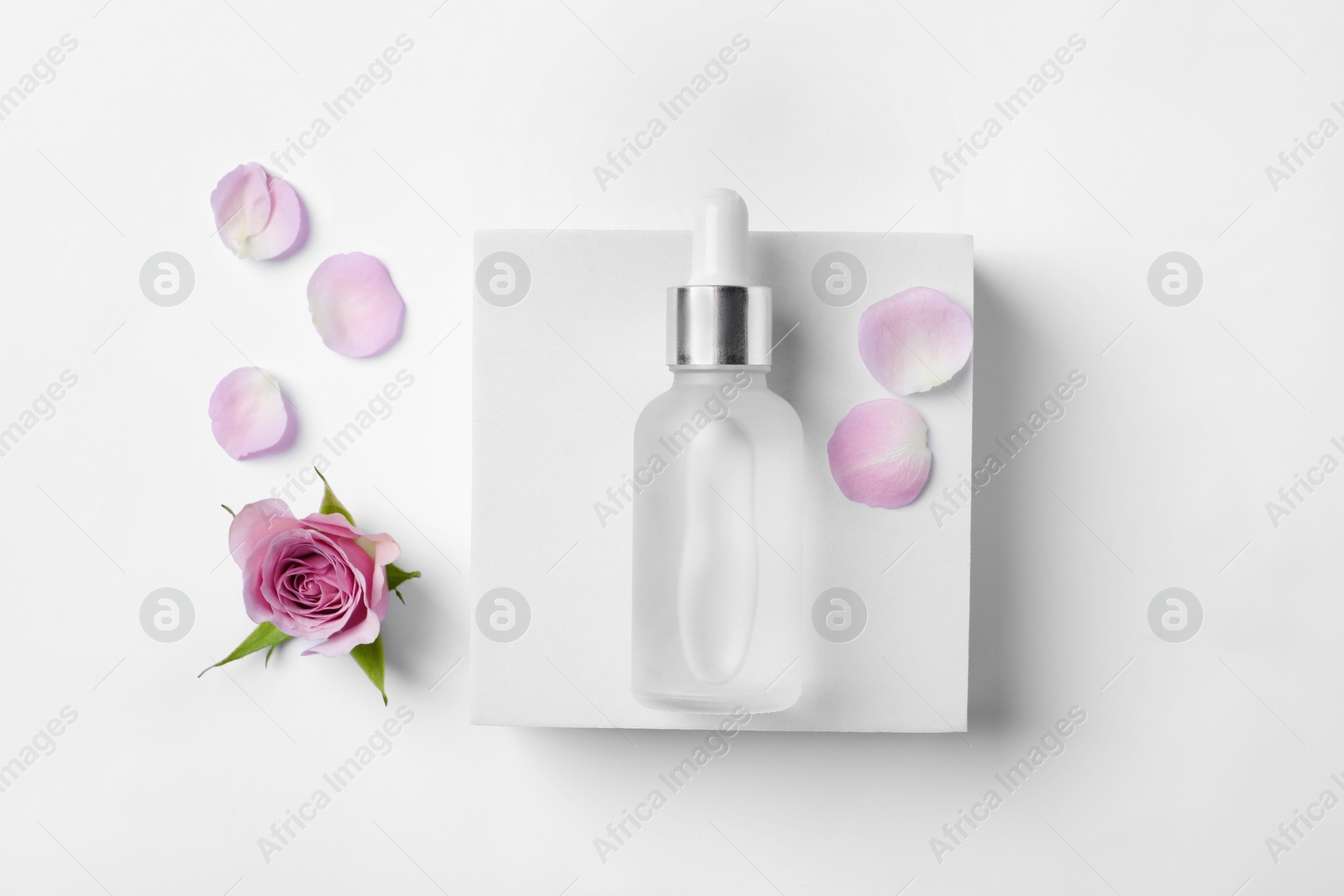 Photo of Bottle of cosmetic serum, beautiful rose flower and petals on white background, flat lay