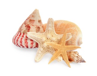 Photo of Beautiful sea stars (starfishes) and seashells isolated on white