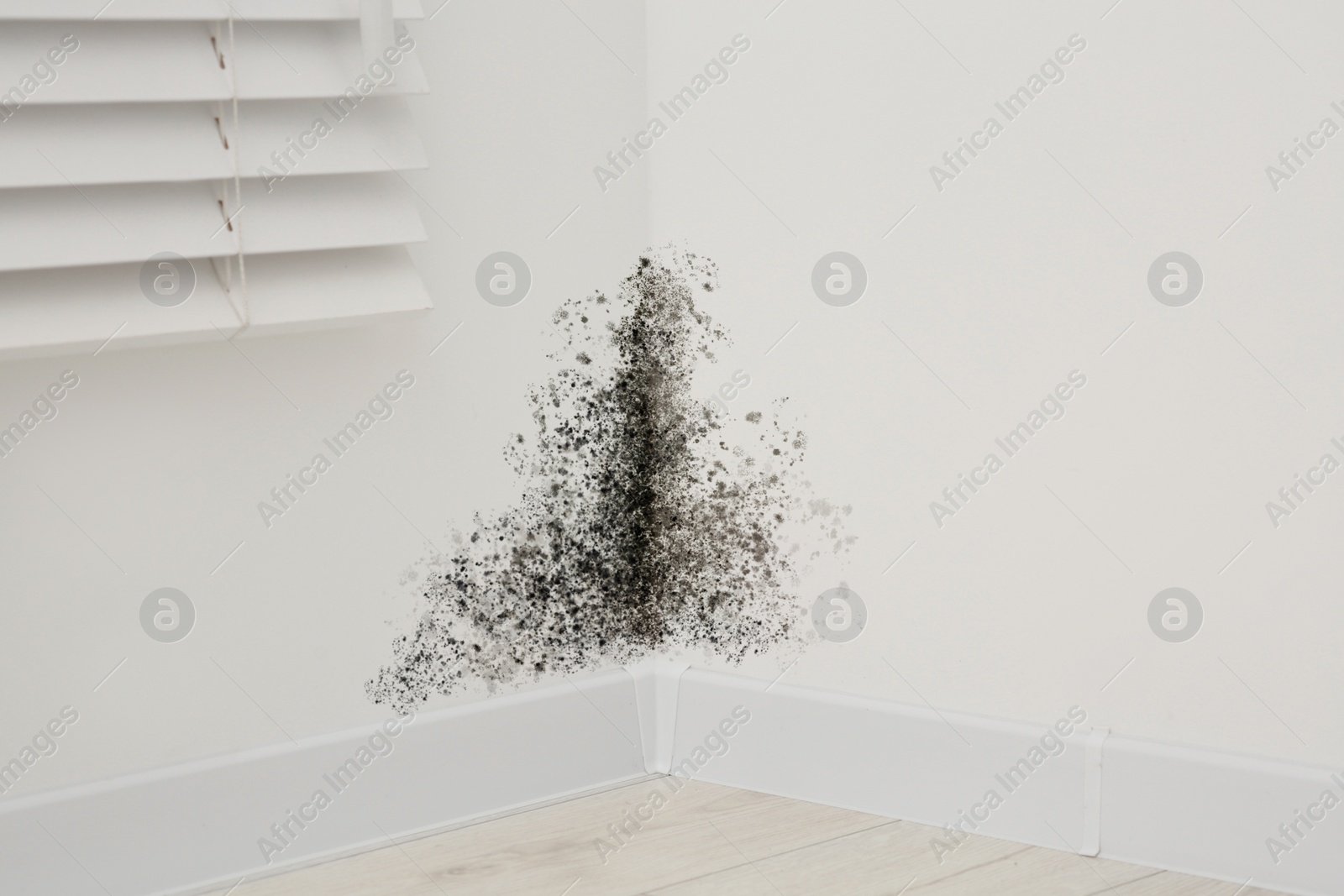 Image of White walls affected with mold in room