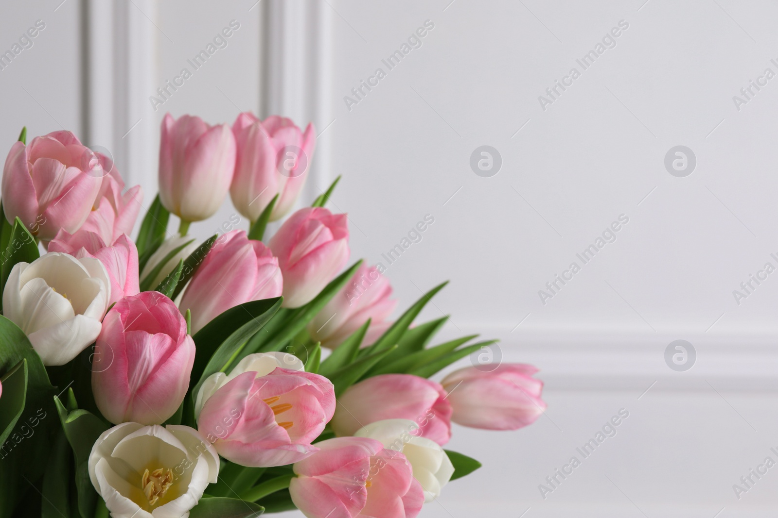 Photo of Beautiful bouquet of tulips against white wall, closeup. Space for text