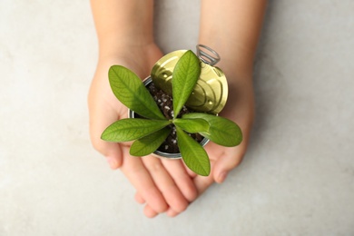 Photo of Child holding tin can with green plant at light table, top view