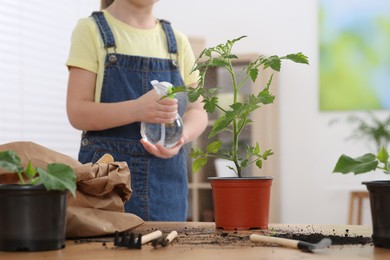 Photo of Little girl spraying seedling in pot at wooden table in room, closeup