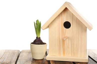 Photo of Beautiful bird house and potted hyacinth on wooden table against white background