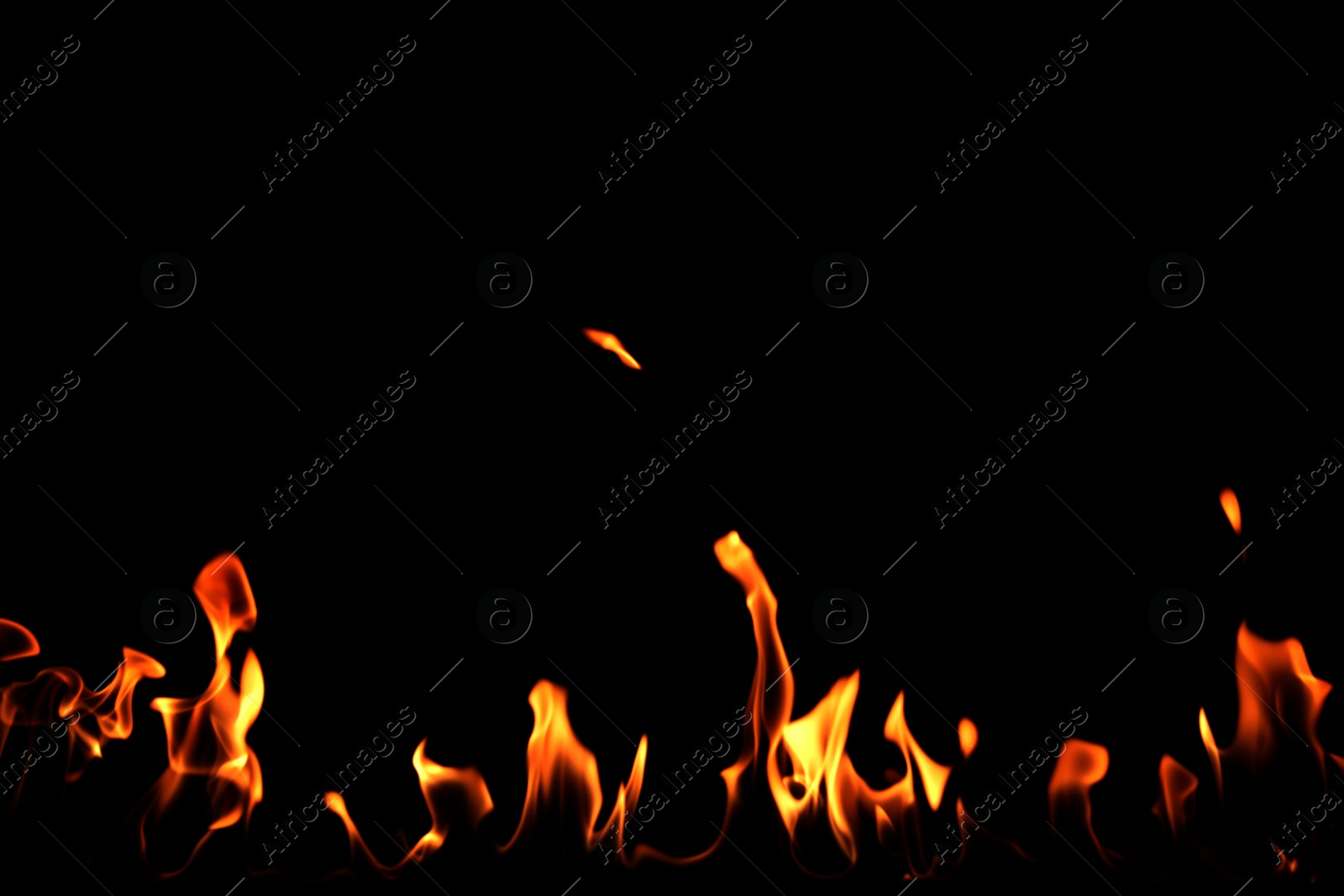 Photo of Beautiful bright fire flames on black background