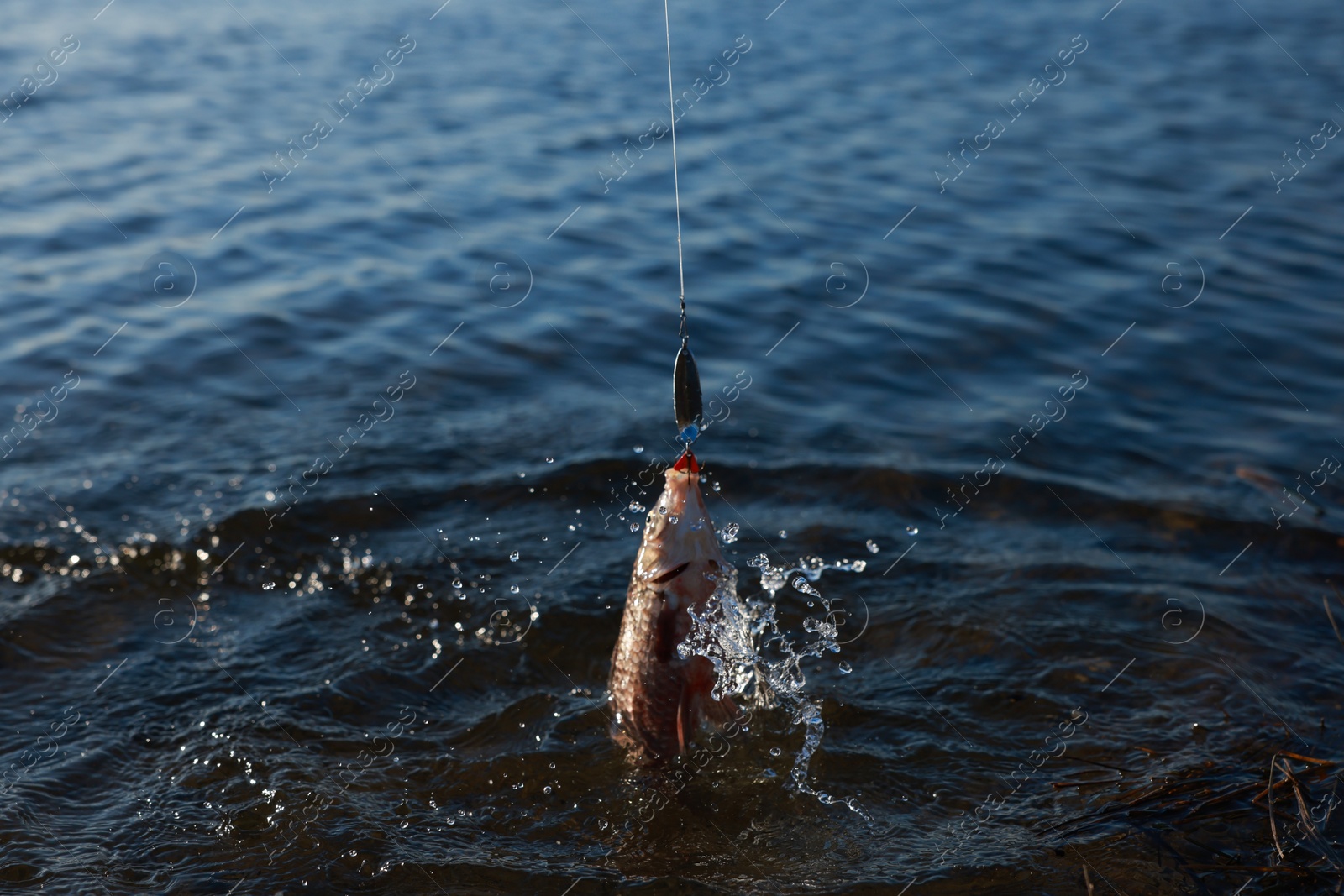 Photo of Catching fish on hook in river. Fishing day