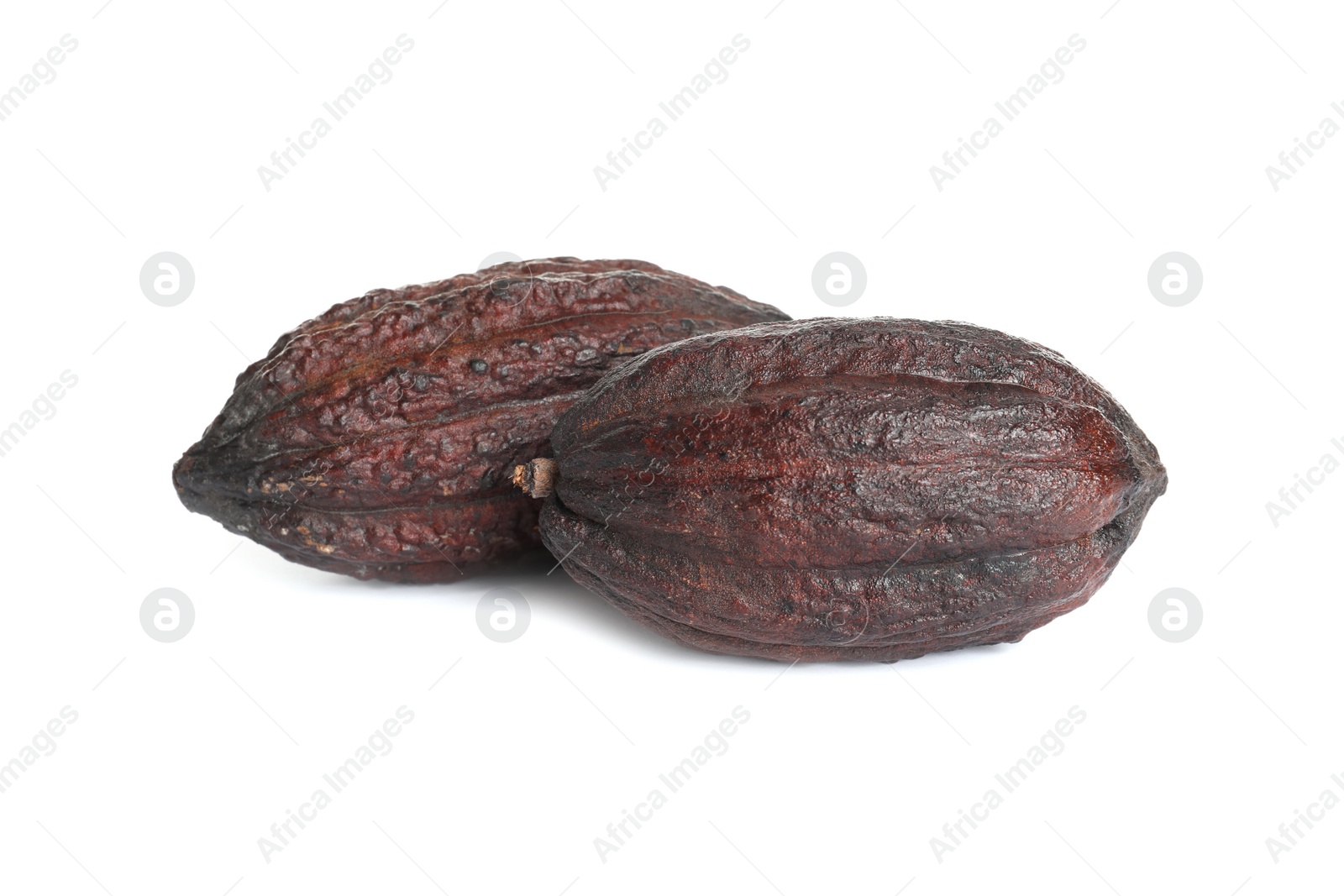 Photo of Whole tropical cocoa pods isolated on white