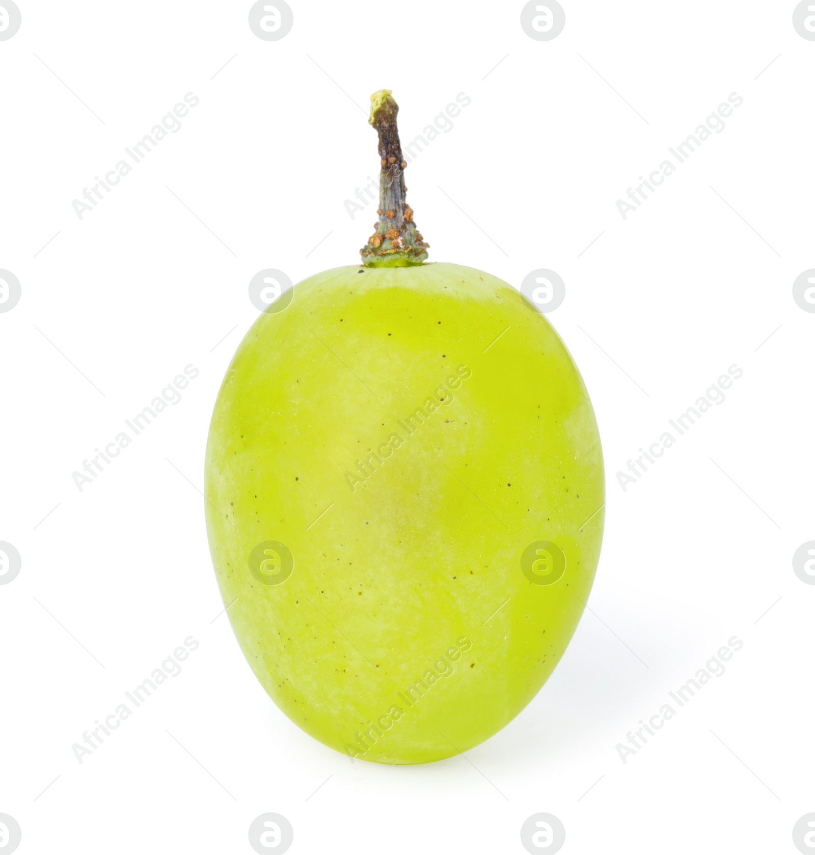 Photo of One ripe green grape isolated on white