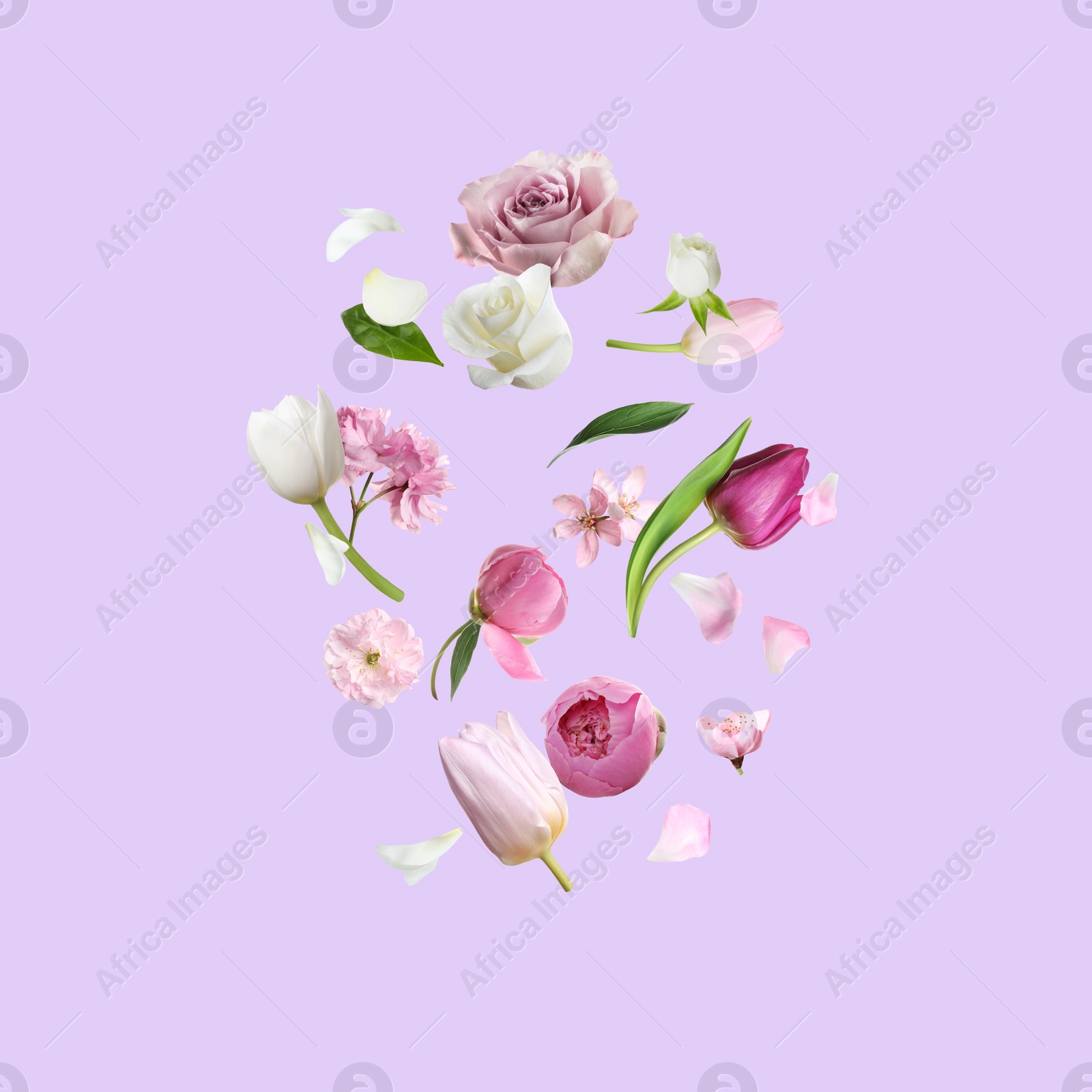 Image of Different beautiful flowers flying on light grey background