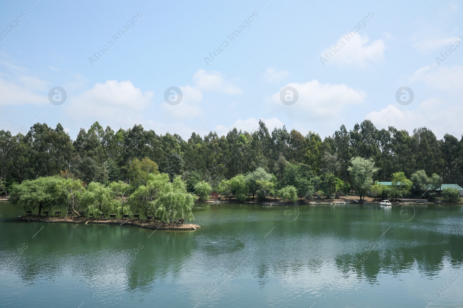 Photo of Picturesque view of pond and beautiful green park