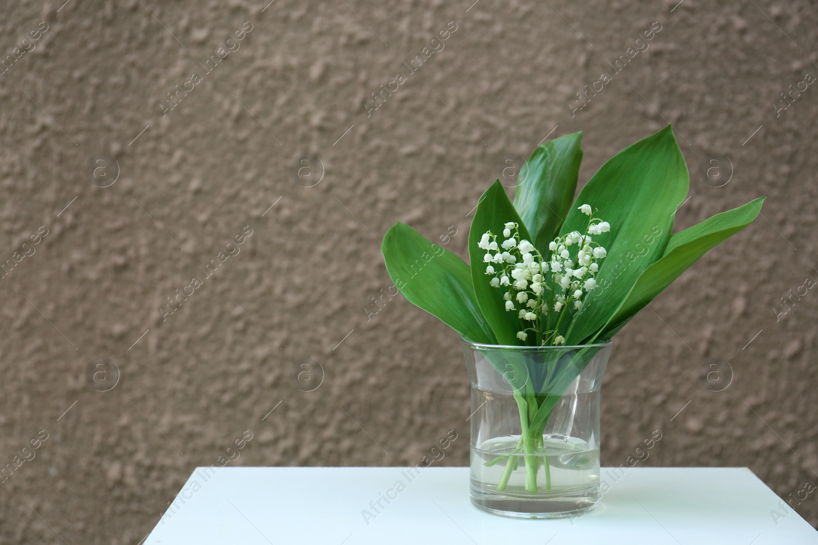 Photo of Beautiful lily of the valley flowers in glass vase on white table near brown wall, space for text