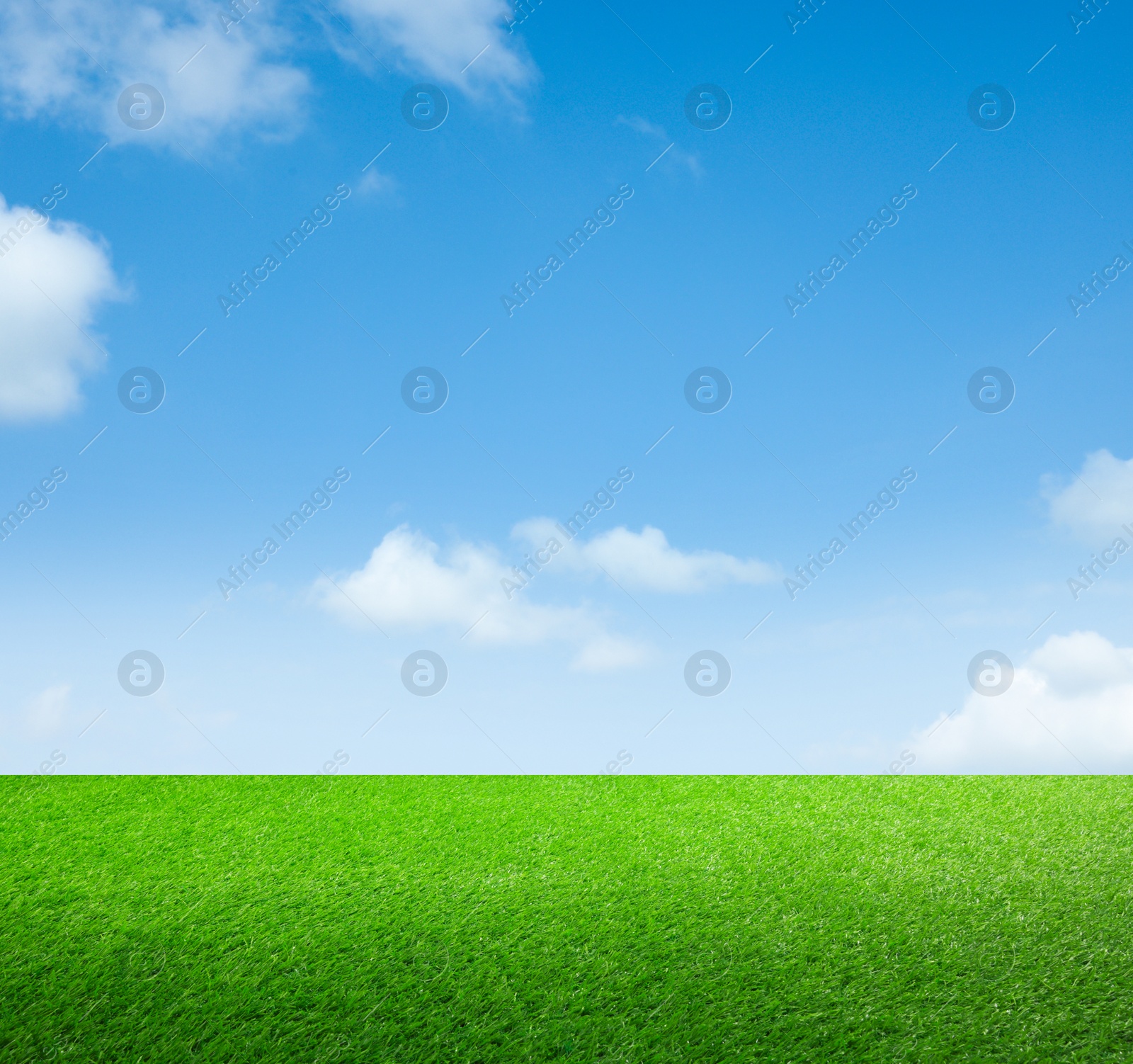 Image of Green grass under blue sky with clouds