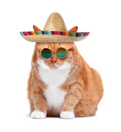 Image of Funny red cat with sombrero and sunglasses on white background