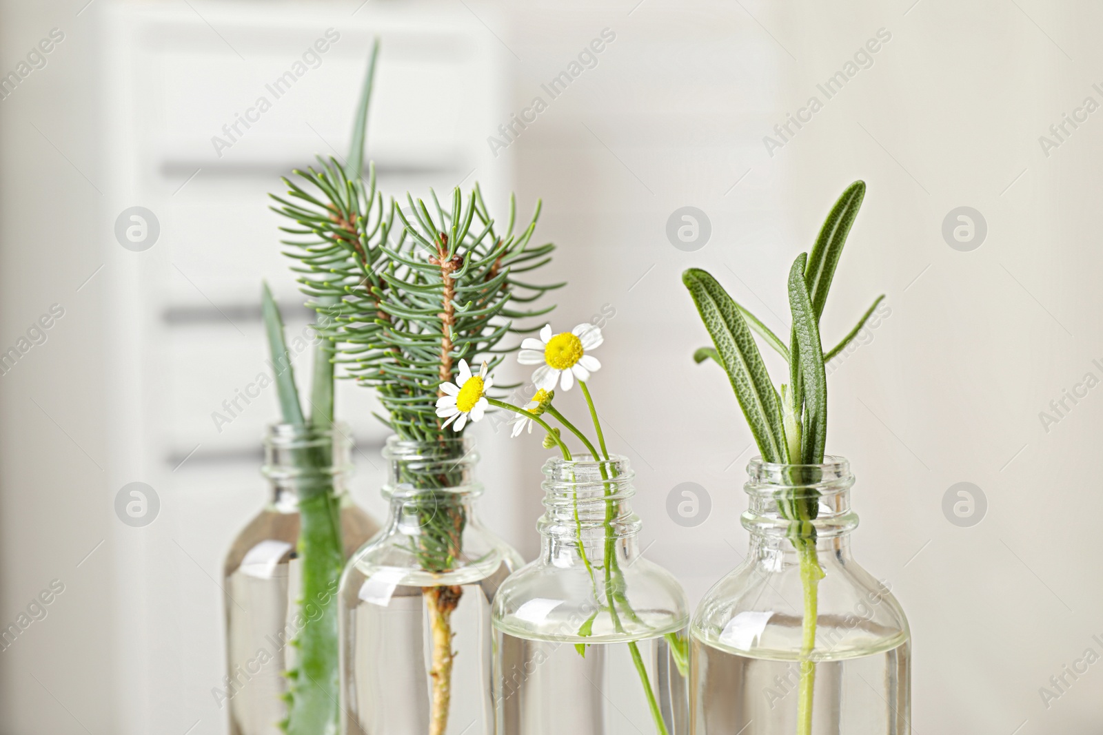 Photo of Glass bottles of different essential oils with plants against blurred background, closeup