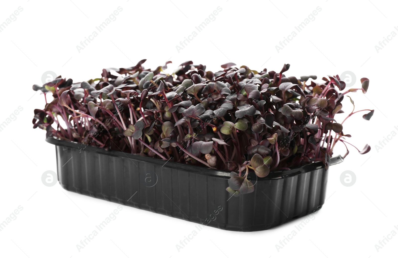 Photo of Fresh radish microgreens in plastic container isolated on white