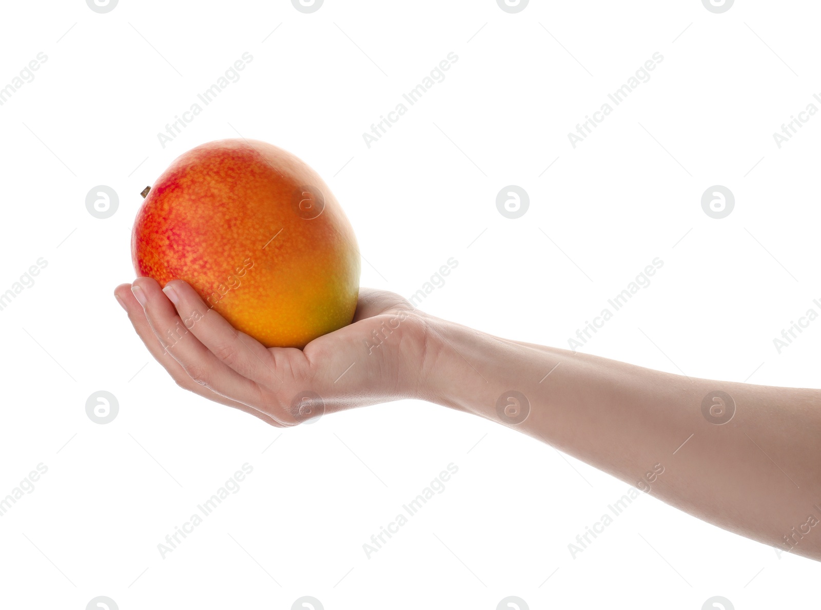 Photo of Woman holding ripe exotic mango on white background, closeup