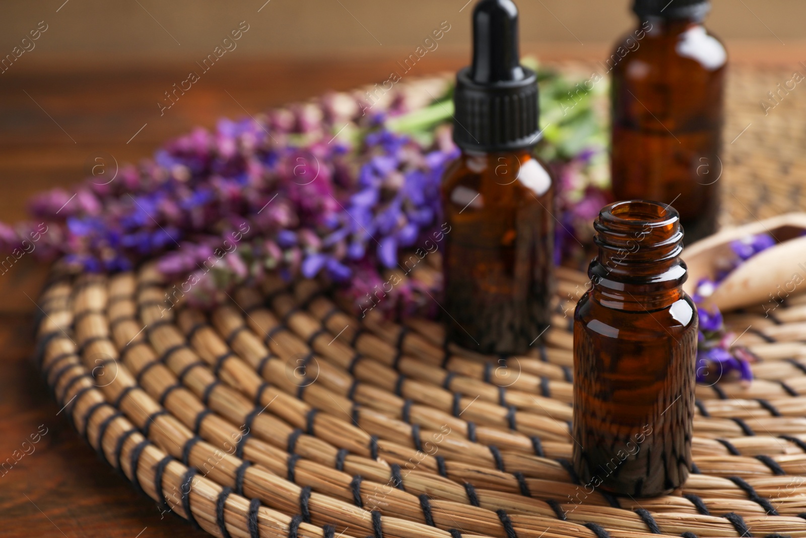 Photo of Bottles of sage essential oil and flowers on table, space for text