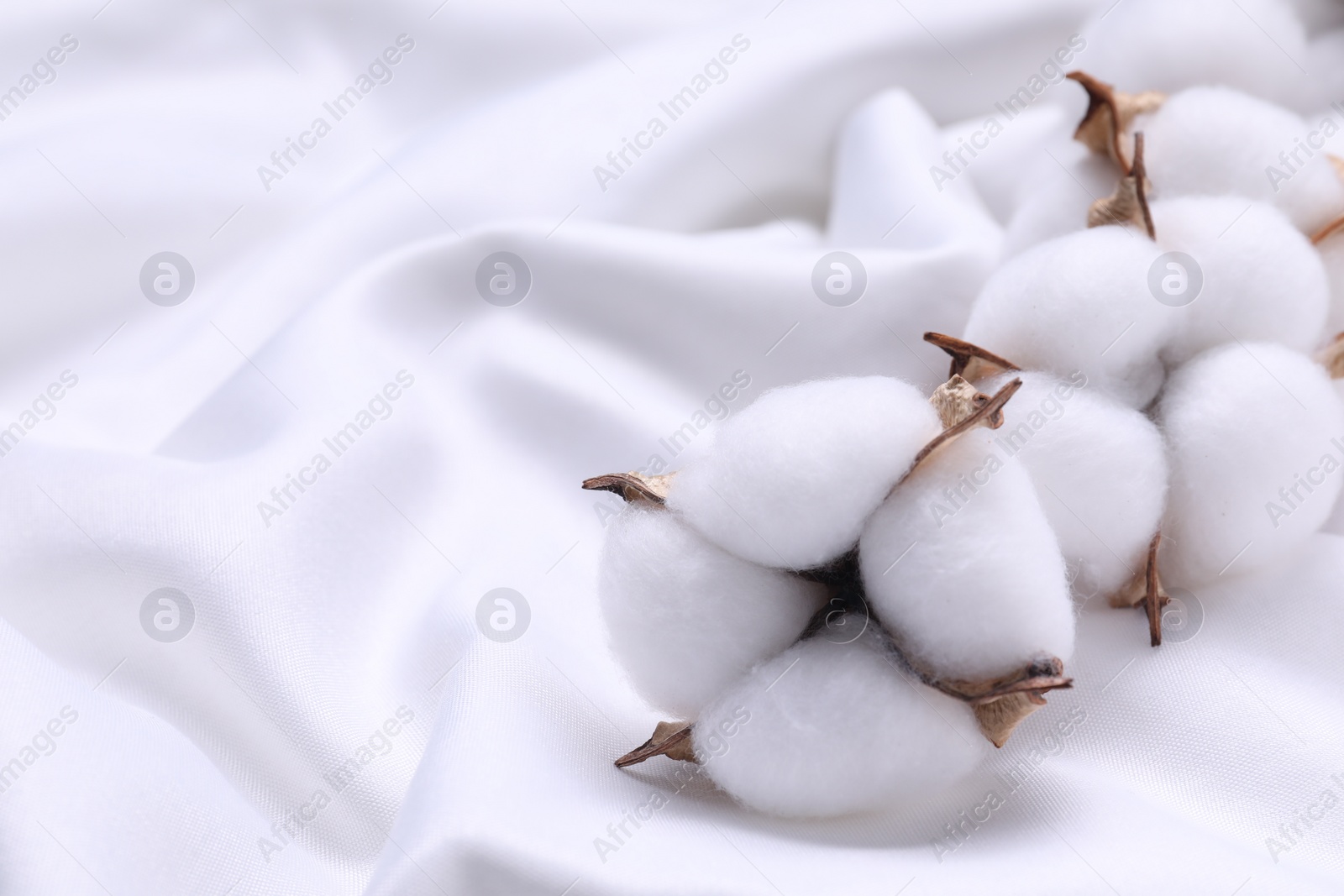 Photo of Fluffy cotton flowers on white fabric, closeup. Space for text