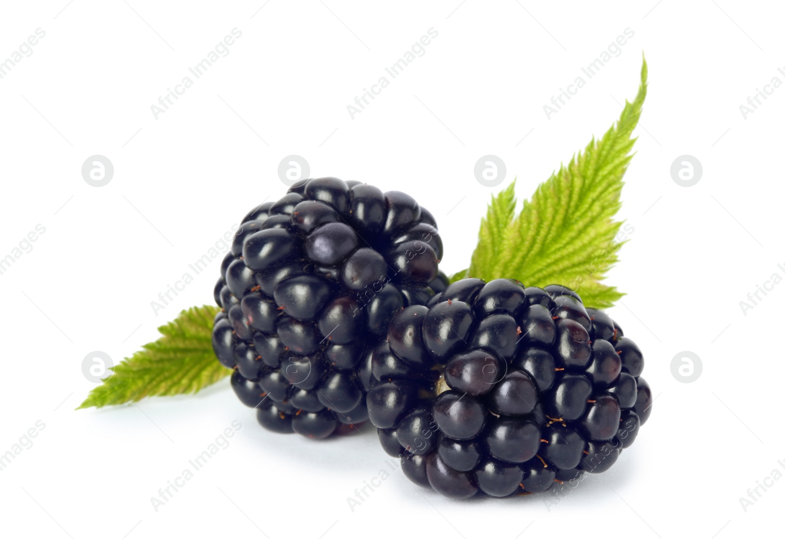 Photo of Fresh ripe juicy blackberries on white background