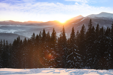 Photo of Beautiful mountain landscape with sunlit forest in winter