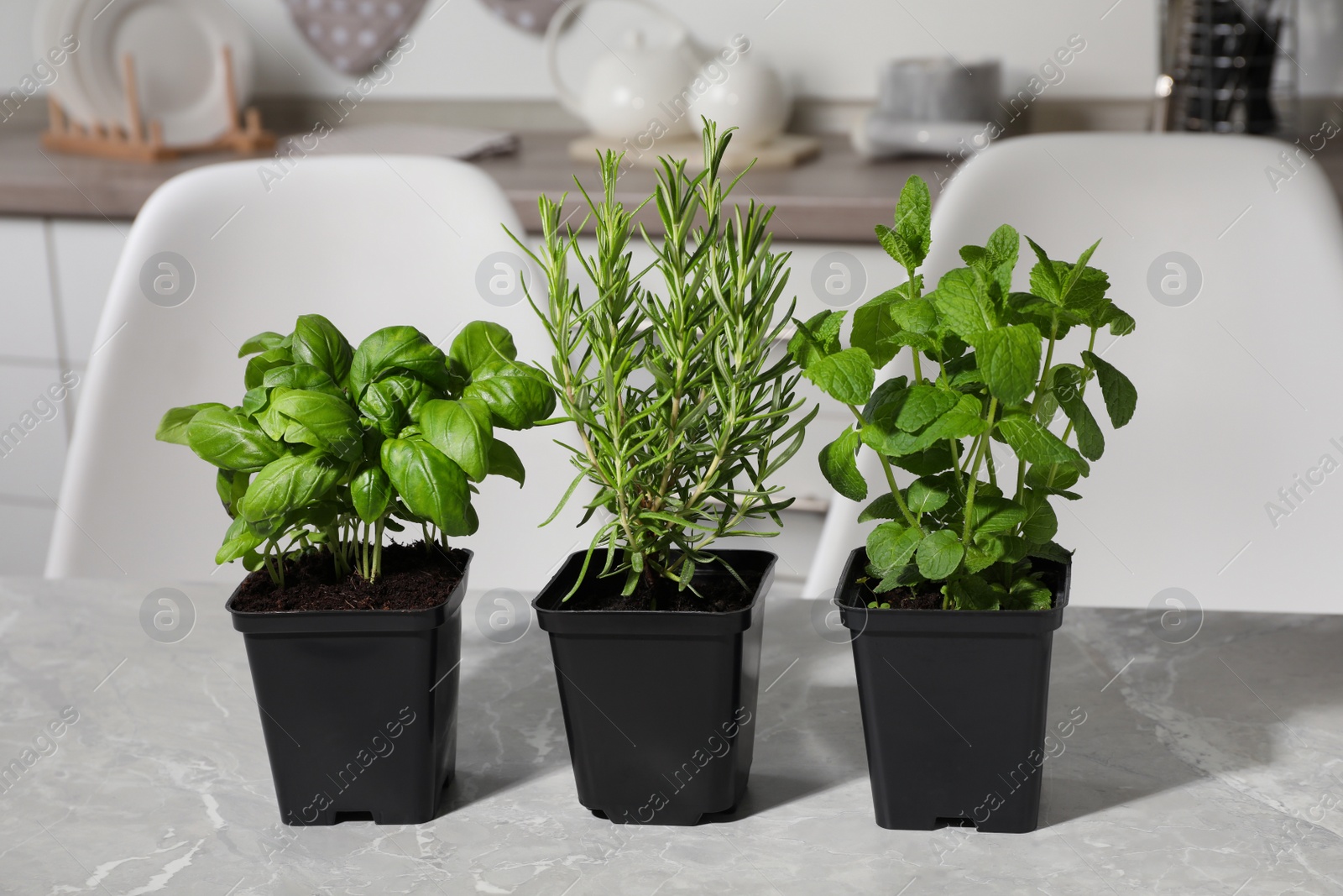 Photo of Pots with basil, mint and rosemary on grey marble table in kitchen