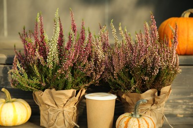 Photo of Beautiful heather flowers in pots, coffee and pumpkins on wooden surface