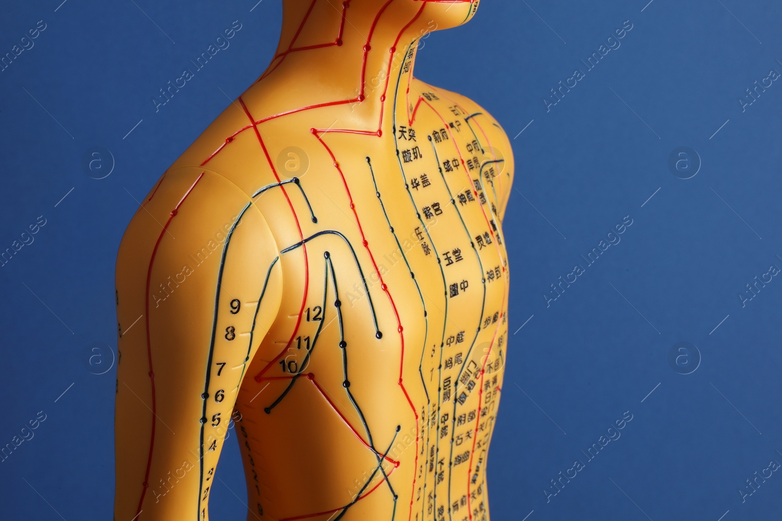 Photo of Acupuncture - alternative medicine. Human model with dots and lines on blue background