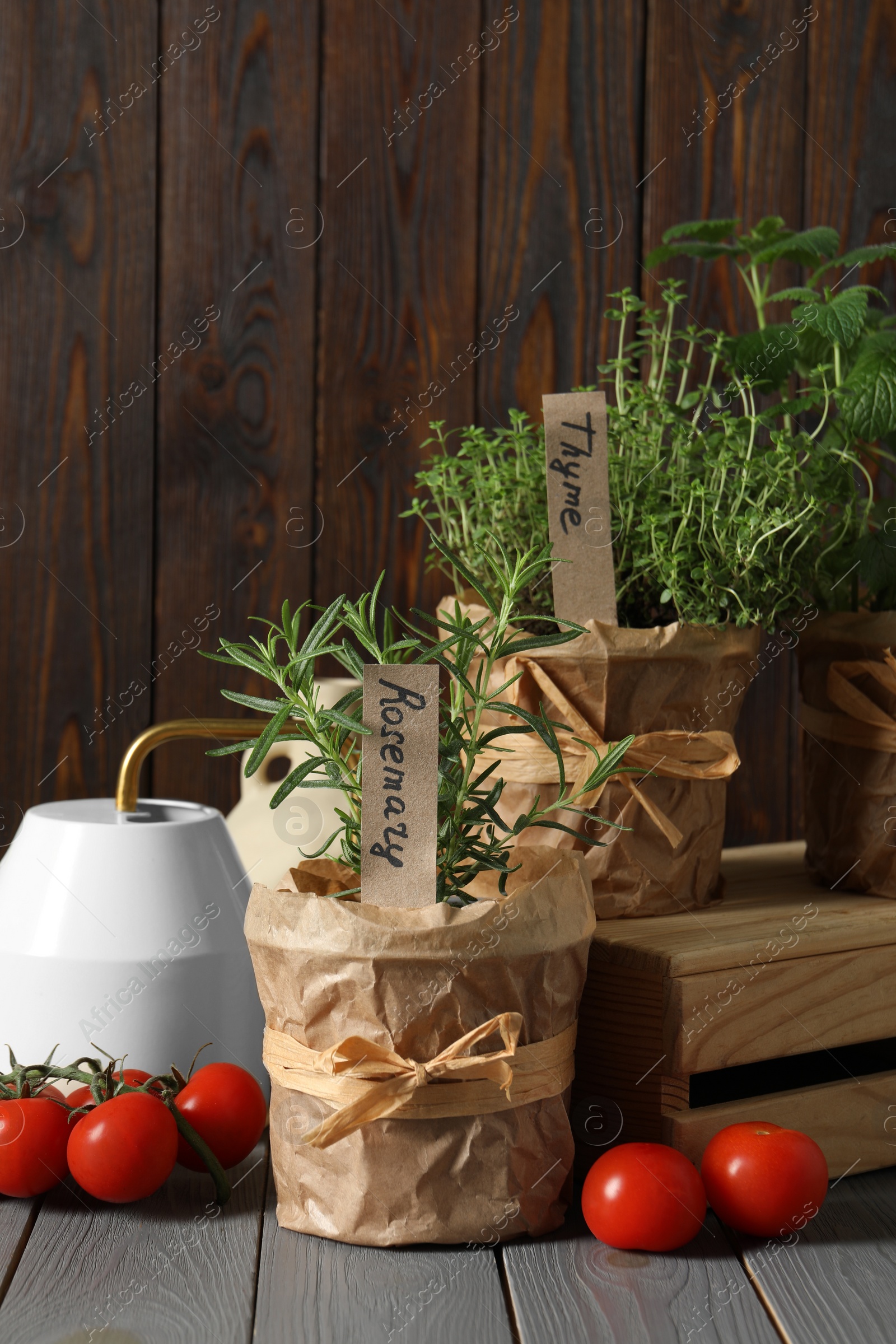 Photo of Different aromatic potted herbs, watering can and tomatoes on grey wooden table