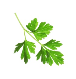 Leaves of fresh tasty parsley on white background, top view