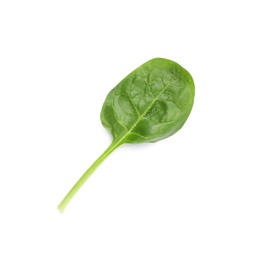 Fresh leaf of spinach isolated on white, top view