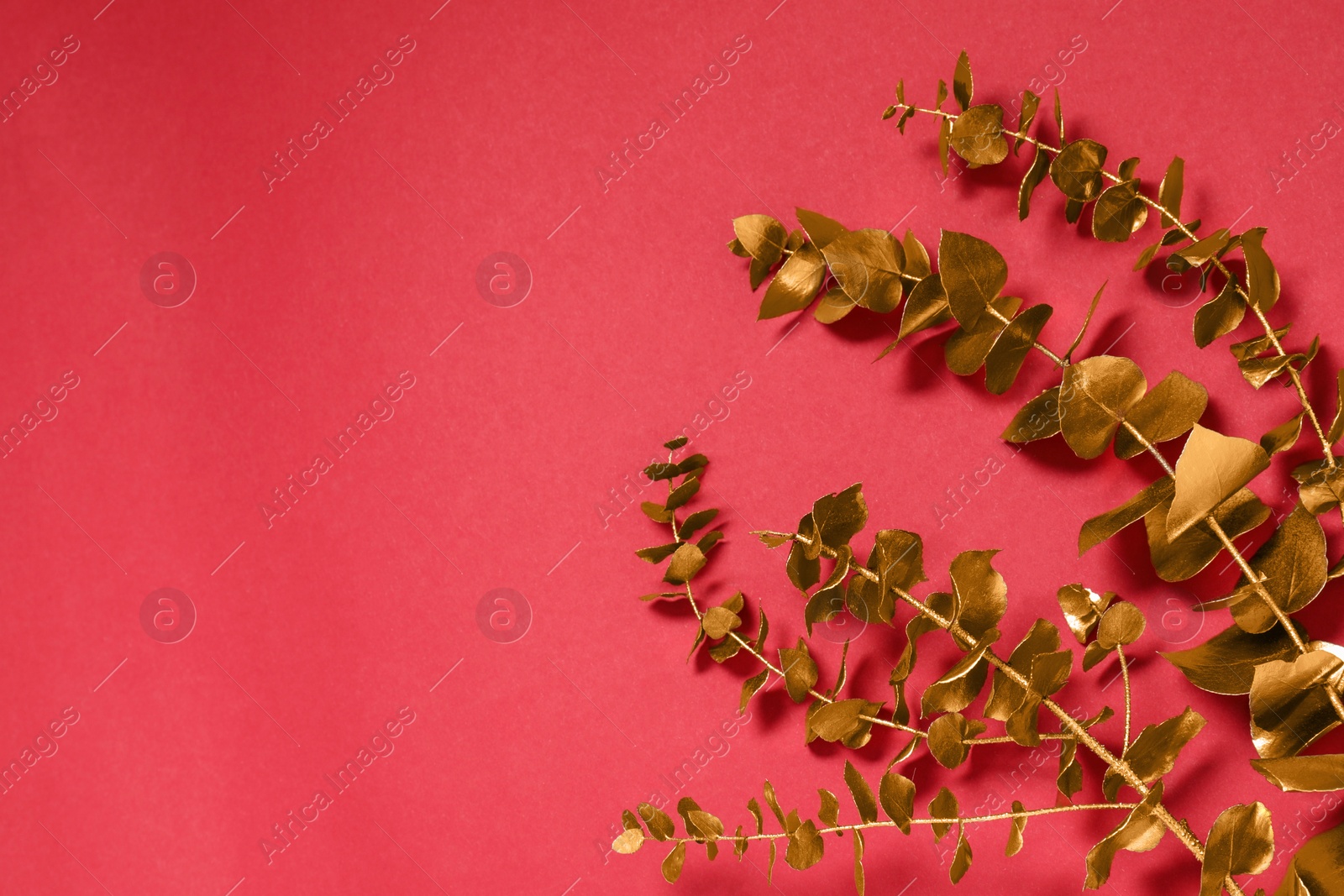 Photo of Golden decorative branches on red background, flat lay. Space for text
