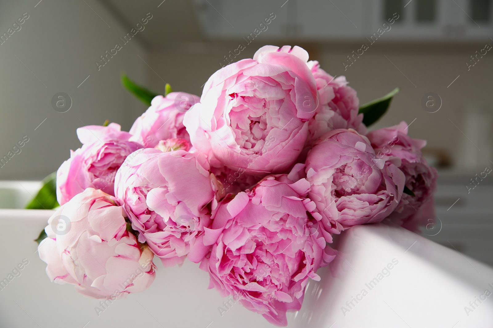 Photo of Bouquet of beautiful pink peonies in kitchen sink, closeup