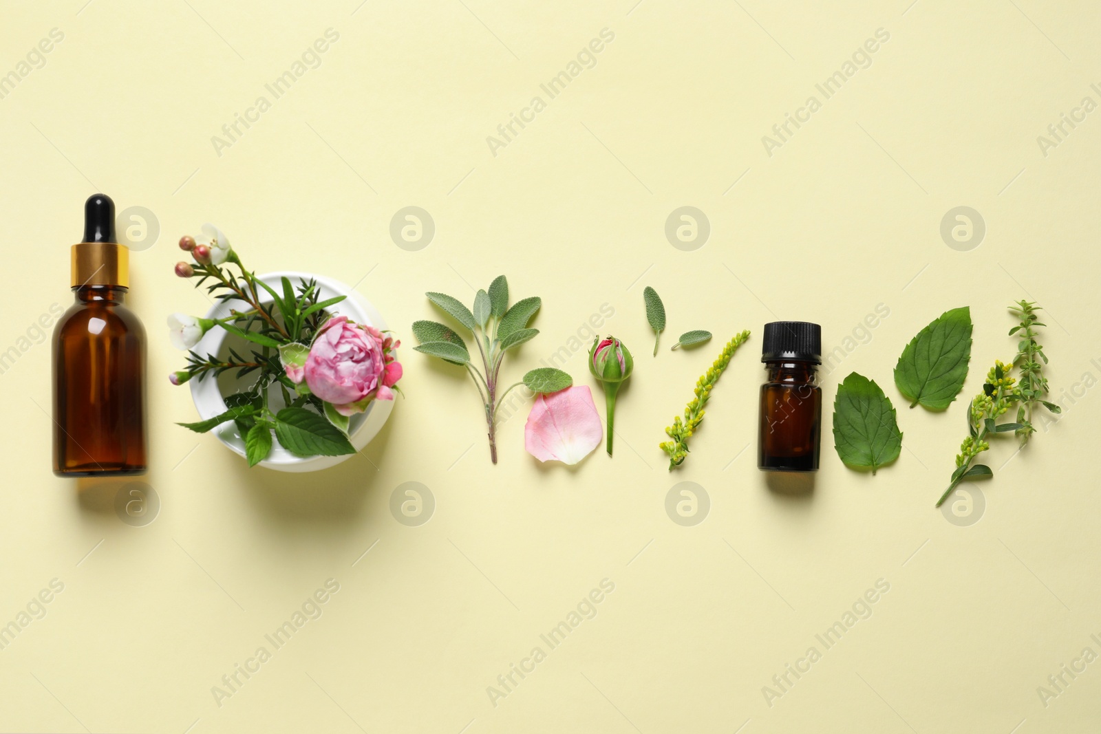 Photo of Bottles of essential oils, different herbs, rose flower and bud on beige background, flat lay