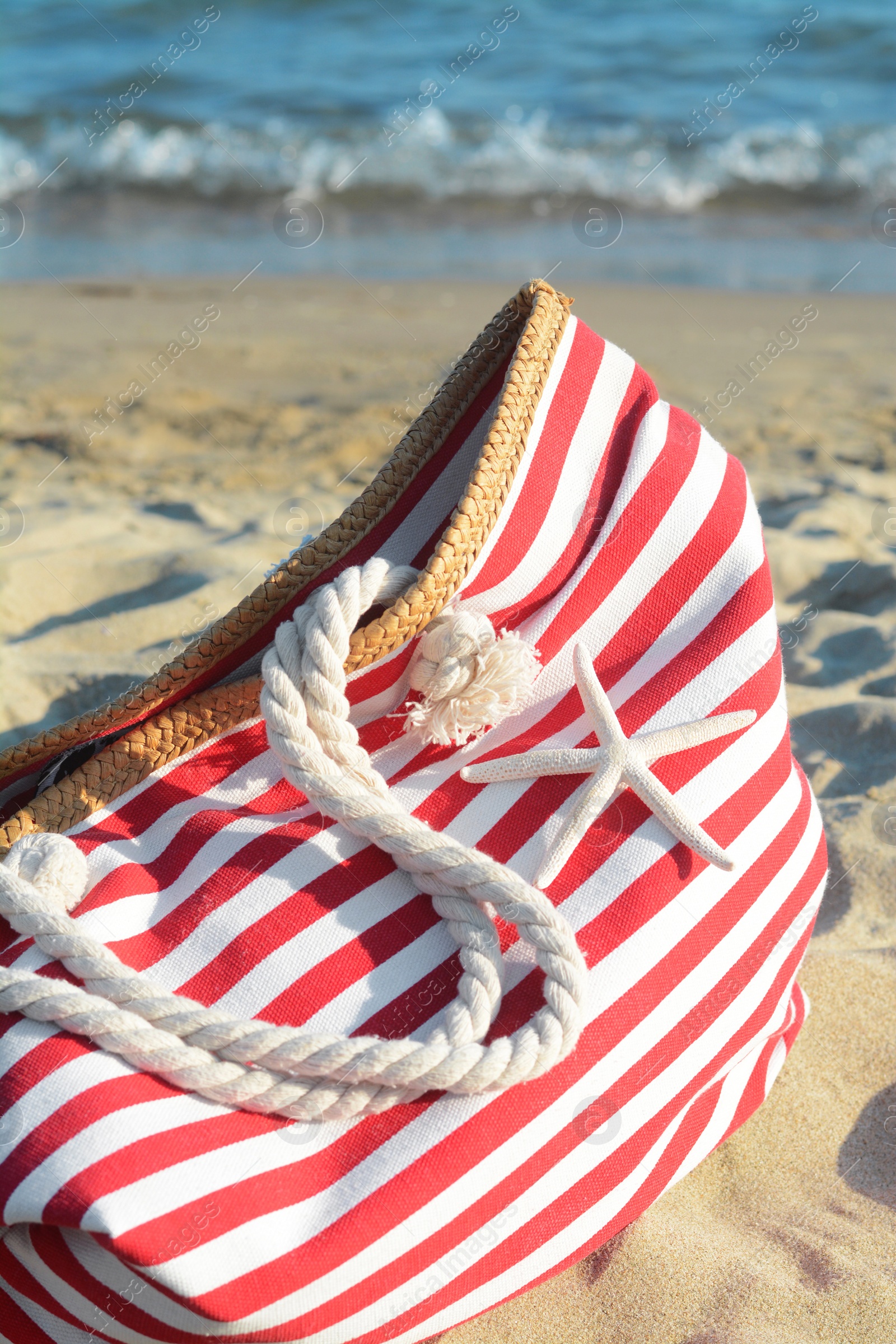 Photo of Stylish striped bag with dry starfish on sandy beach near sea