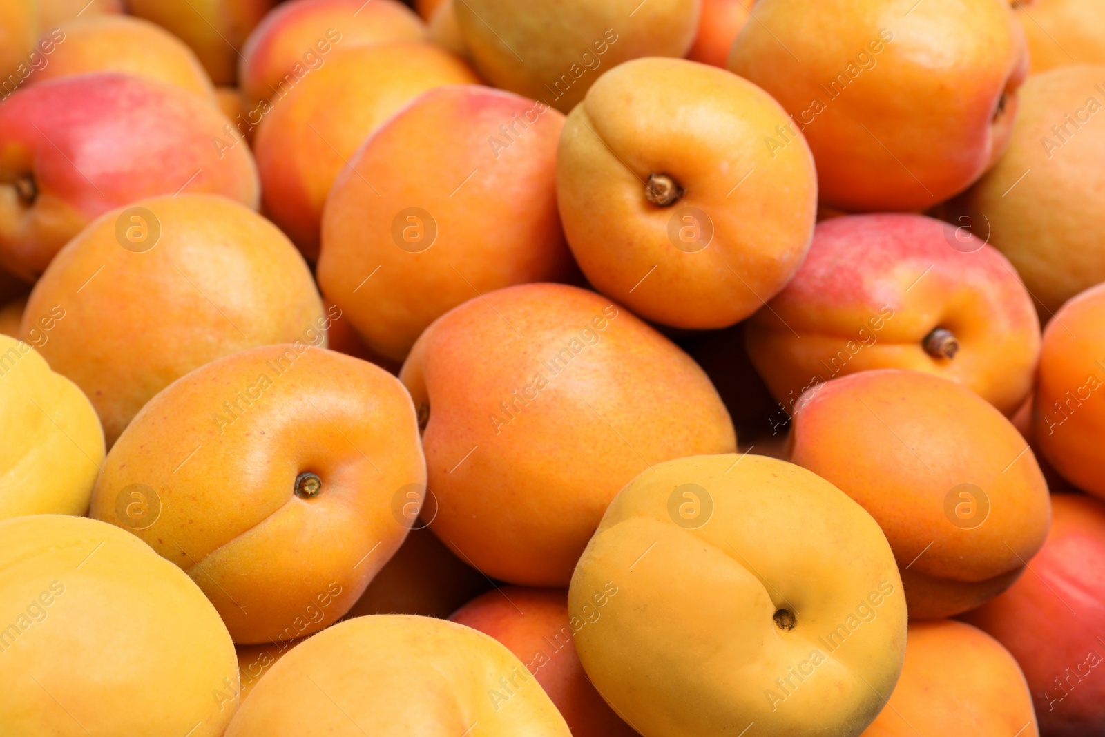 Photo of Delicious fresh ripe apricots as background, closeup