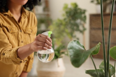 Woman spraying beautiful houseplant with water indoors, closeup