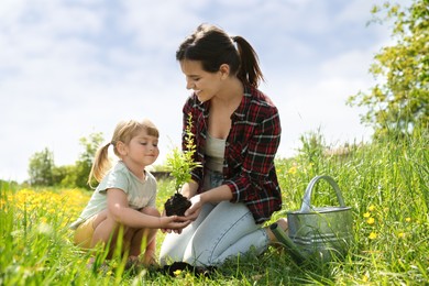 Mother and her daughter planting tree together outdoors