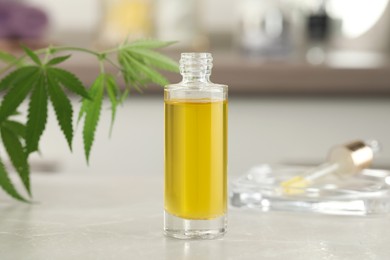 Bottle of hemp oil on light table against blurred background