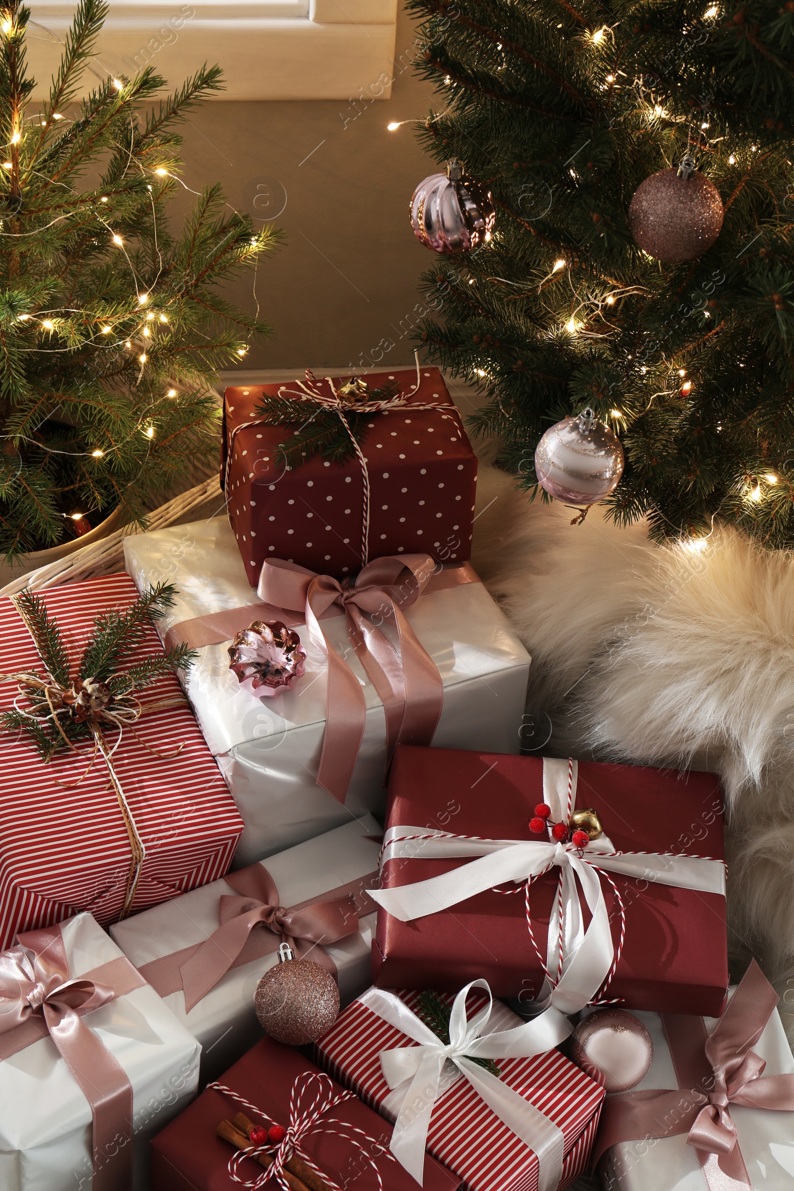 Photo of Gift boxes under small and big Christmas trees indoors