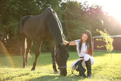 Photo of Young woman in horse riding suit and her beautiful pet outdoors on sunny day