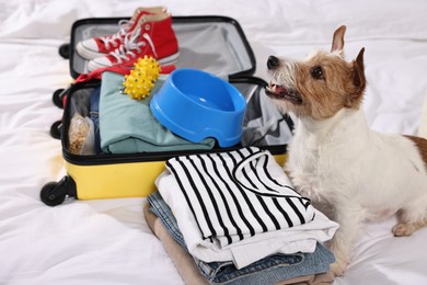 Travel with pet. Dog, clothes and suitcase on bed