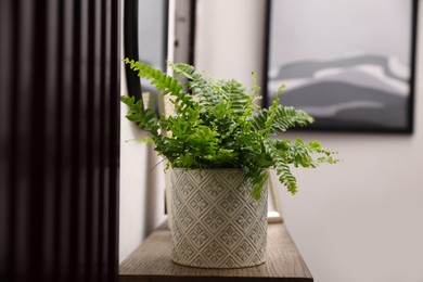 Photo of Beautiful fresh potted fern on table in hallway