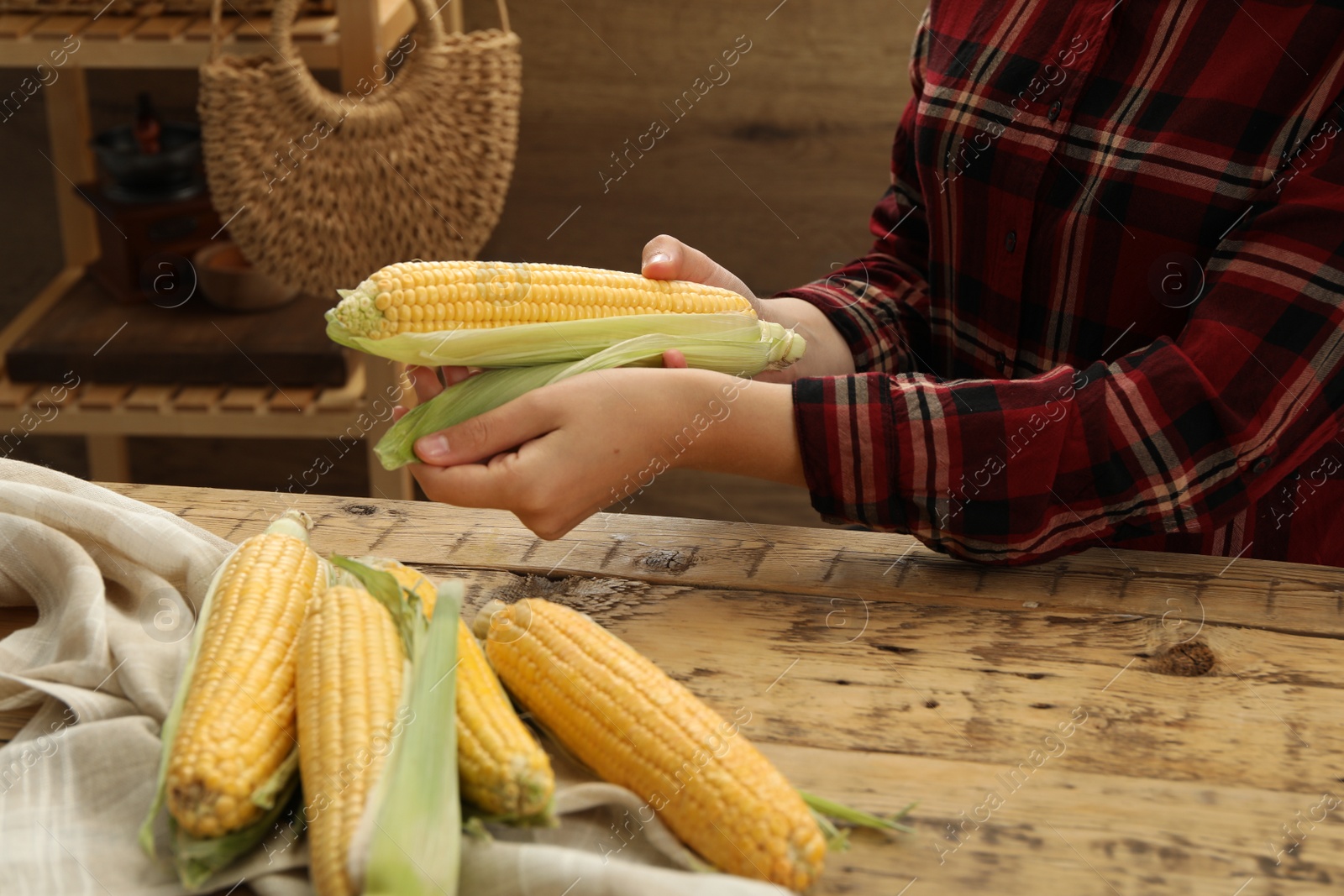 Photo of Woman husking corn cob at wooden table, closeup