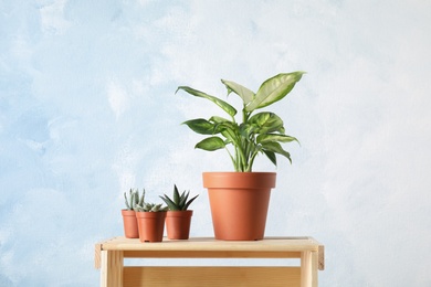 Photo of Potted plants on wooden crate against color background. Home plant