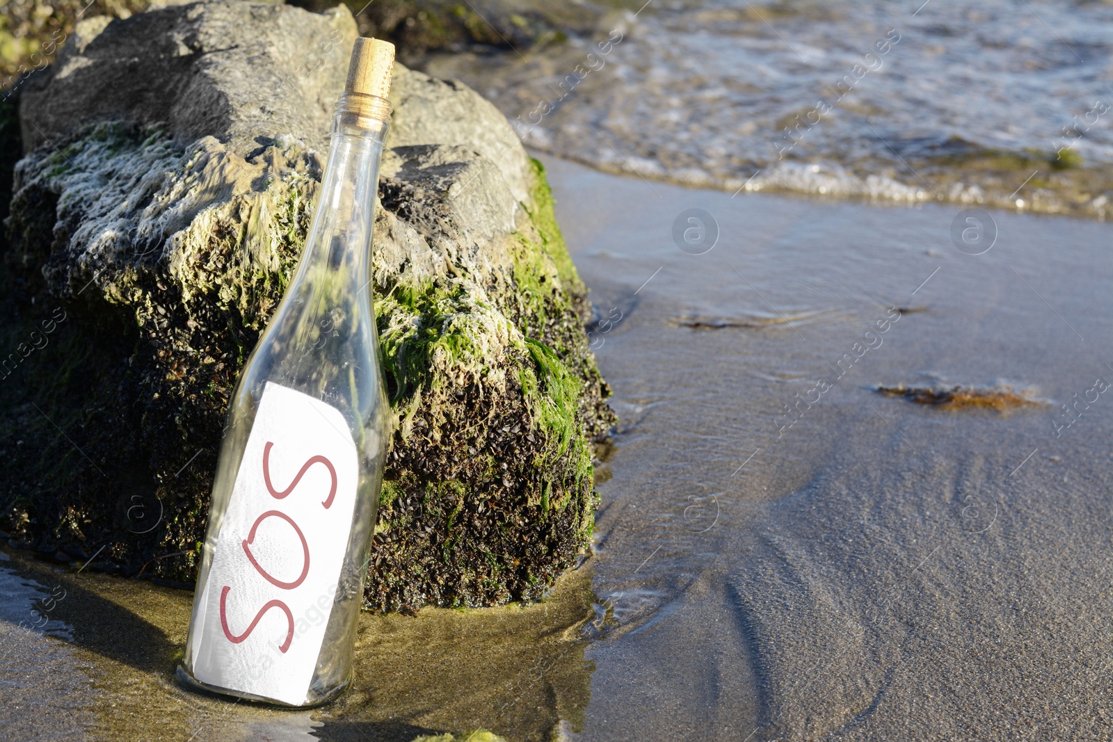 Photo of Glass bottle with SOS message near sea rocks, space for text