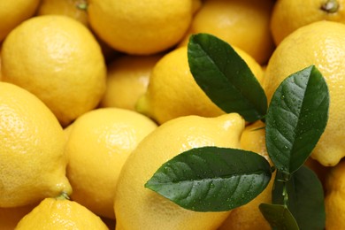 Photo of Fresh lemons and green leaves as background, closeup