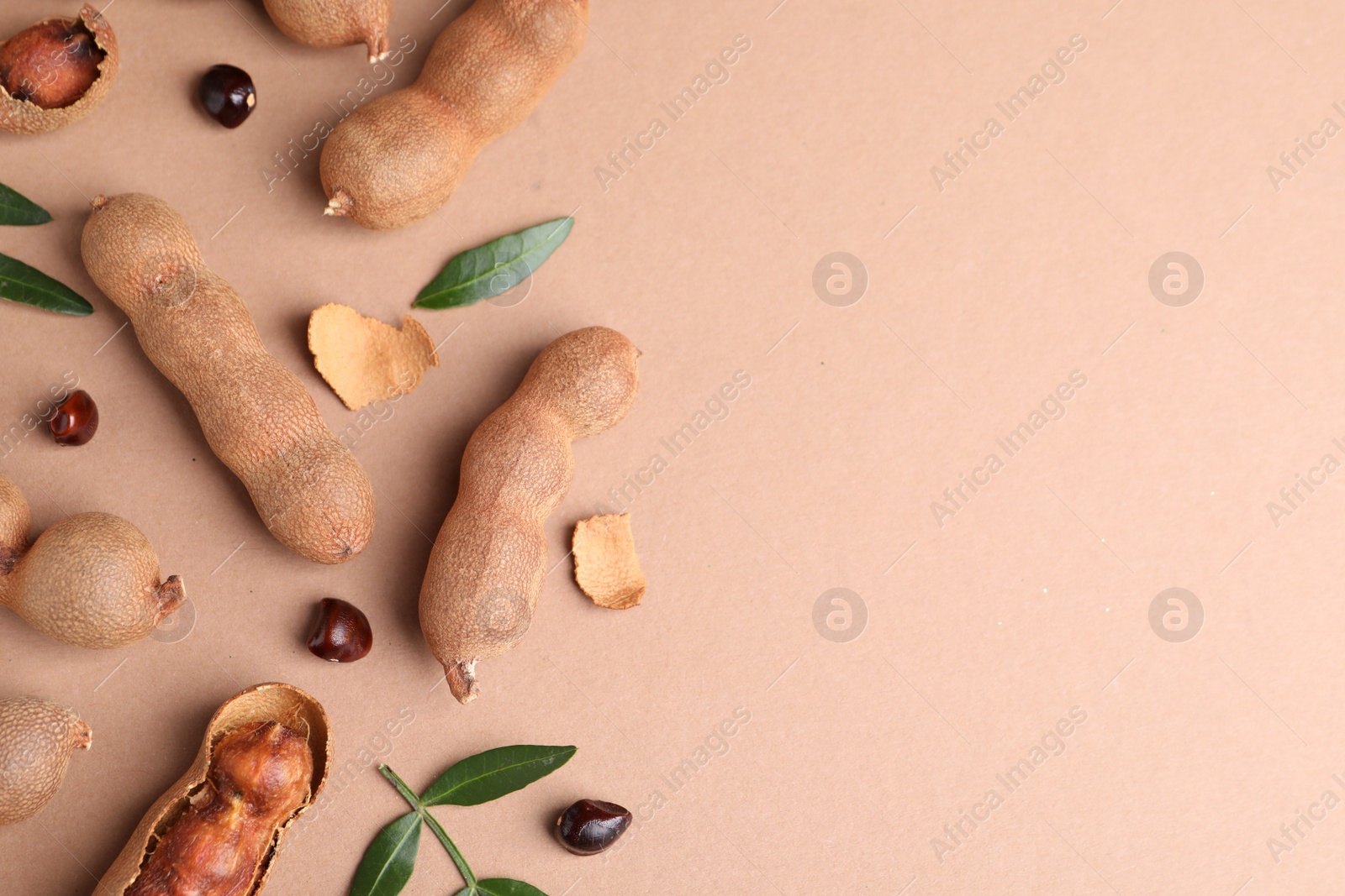 Photo of Ripe tamarinds and fresh leaves on beige background, flat lay. Space for text