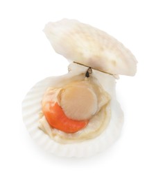 Photo of Fresh raw scallop with shell isolated on white