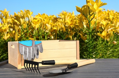 Wooden crate with gardening tools on grey table in lily field. Space for text