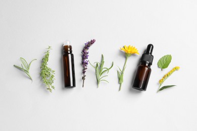 Photo of Bottles of essential oils, different herbs and flowers on white background, flat lay