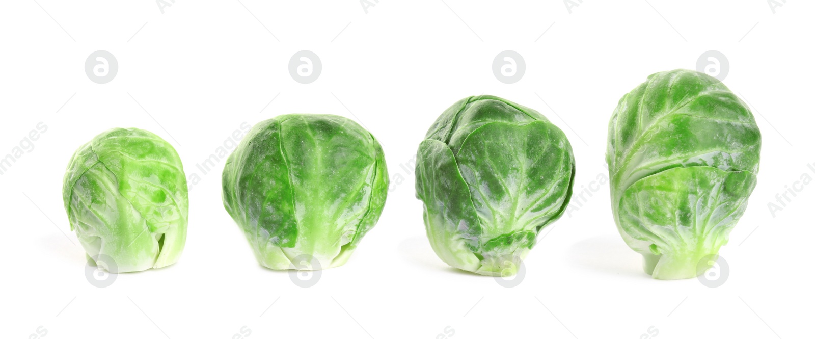 Photo of Fresh tasty Brussels sprouts isolated on white